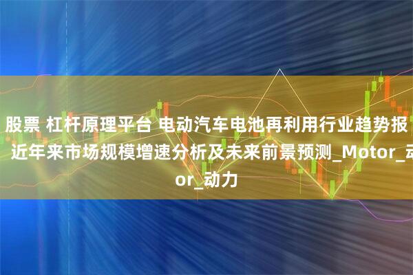 股票 杠杆原理平台 电动汽车电池再利用行业趋势报告：近年来市场规模增速分析及未来前景预测_Motor_动力