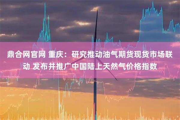 鼎合网官网 重庆：研究推动油气期货现货市场联动 发布并推广中国陆上天然气价格指数