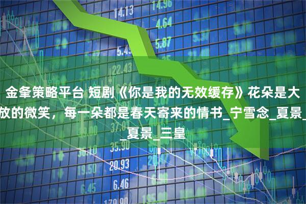 金夆策略平台 短剧《你是我的无效缓存》花朵是大地绽放的微笑，每一朵都是春天寄来的情书_宁雪念_夏景_三皇