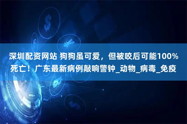 深圳配资网站 狗狗虽可爱，但被咬后可能100%死亡！广东最新病例敲响警钟_动物_病毒_免疫