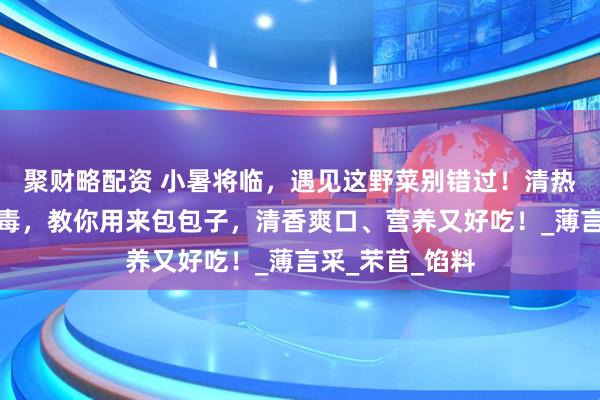 聚财略配资 小暑将临，遇见这野菜别错过！清热利尿、祛湿排毒，教你用来包包子，清香爽口、营养又好吃！_薄言采_芣苢_馅料